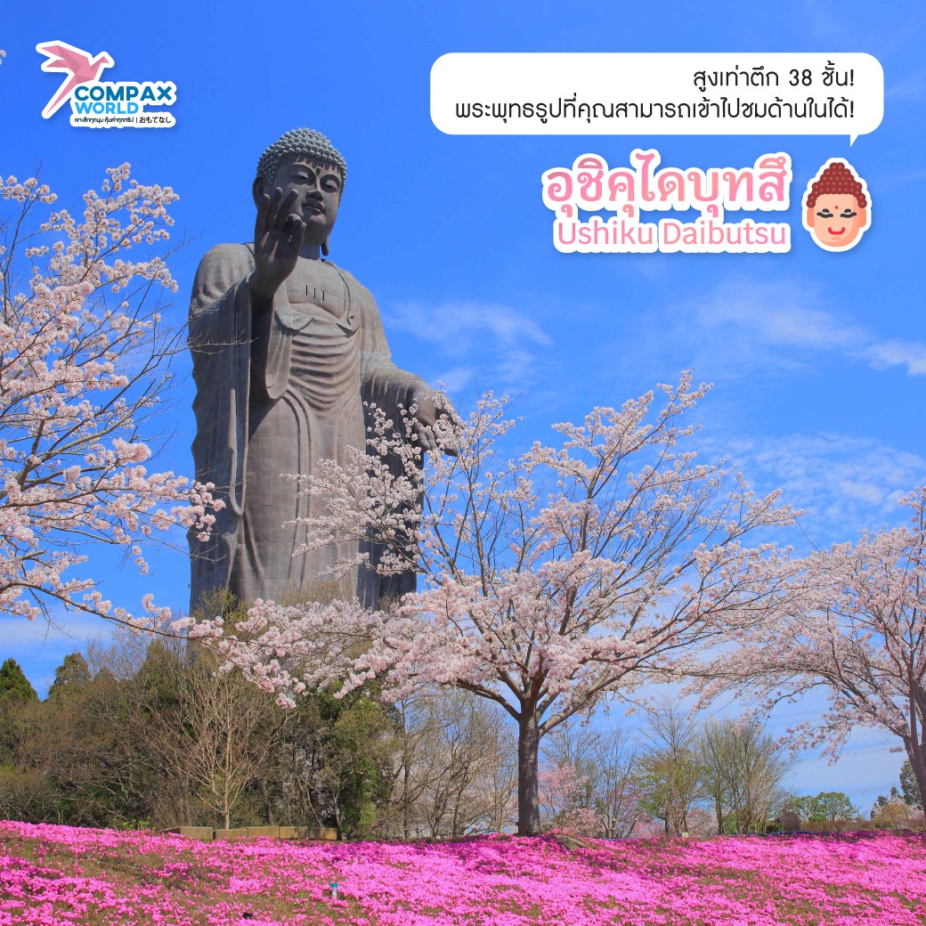 ทัวร์ญี่ปุ่น เที่ยวญี่ปุ่น โปรแกรมทัวร์ญี่ปุ่น